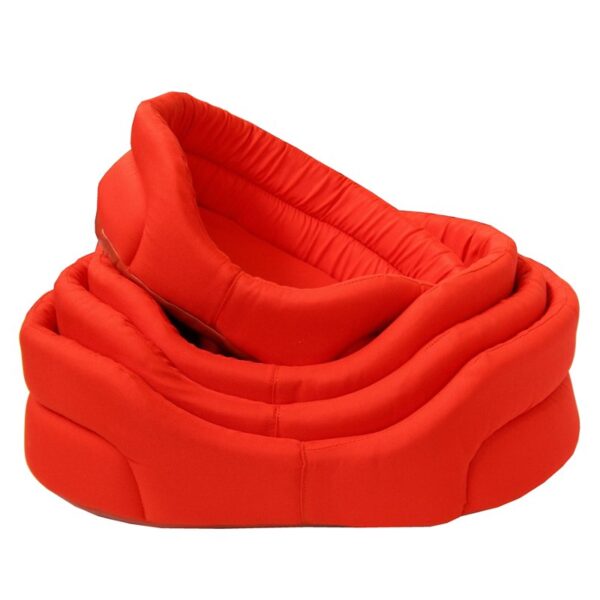 005arancio