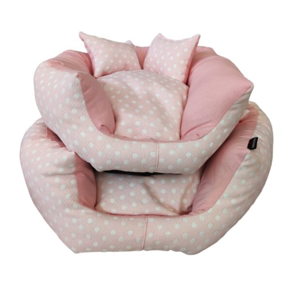 171 poix rosa
