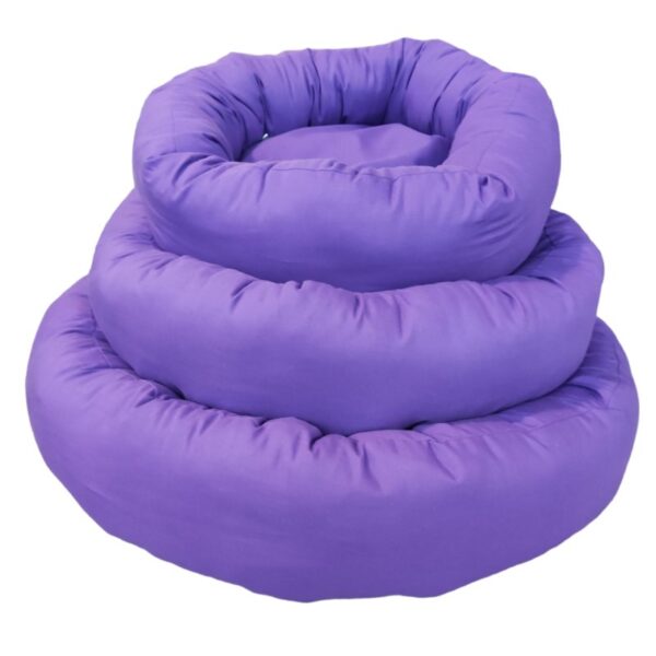 139 viola
