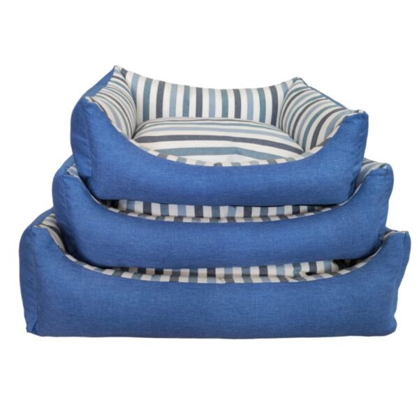 031AZZURRO